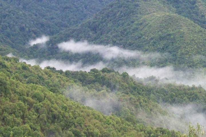 Attapadi Reserve Forest
